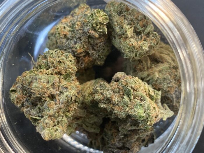 Gorilla Glue Strain