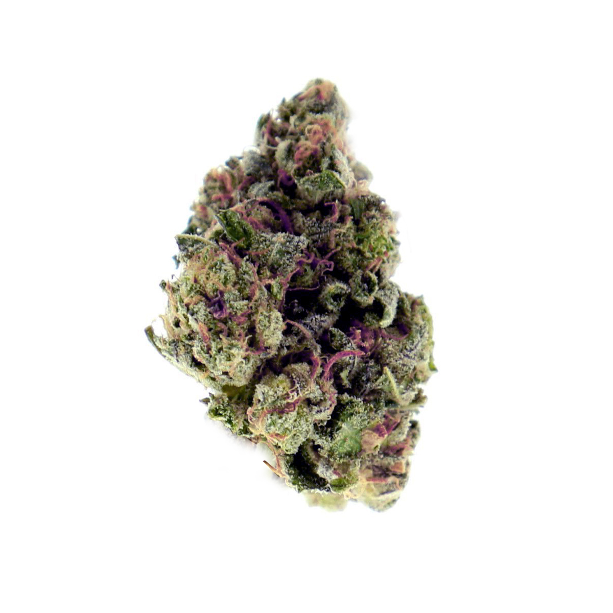 deep purple strain