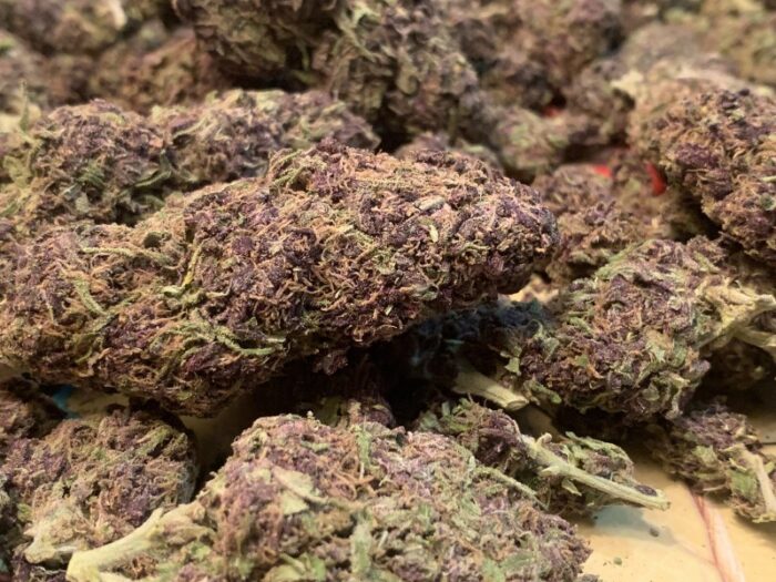 Purple Haze Strain