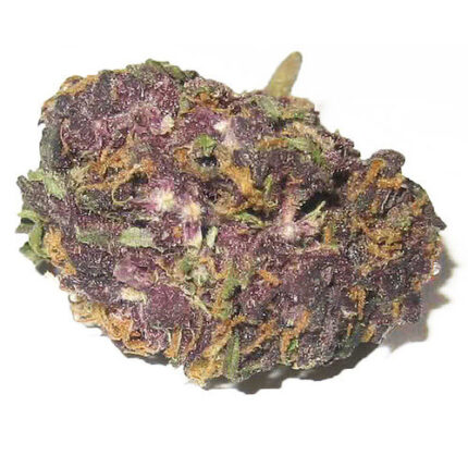 Grand Daddy Purple Strain