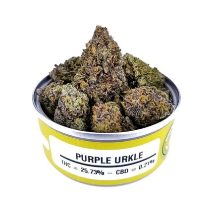 Purple Urkle Strain